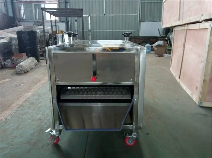 Mushroom Stipe Removing Machine