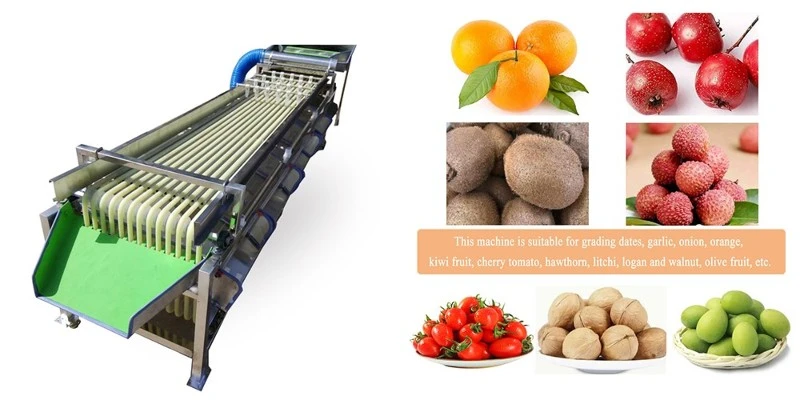 product-1000-500 product-1000-500