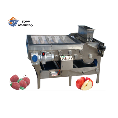 Belt tip juicing machin